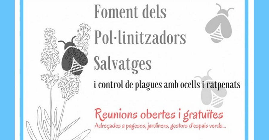 Salvem els insectes pol�linitzadors