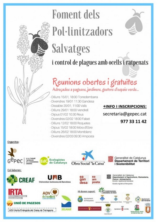 Salvem els insectes pol�linitzadors