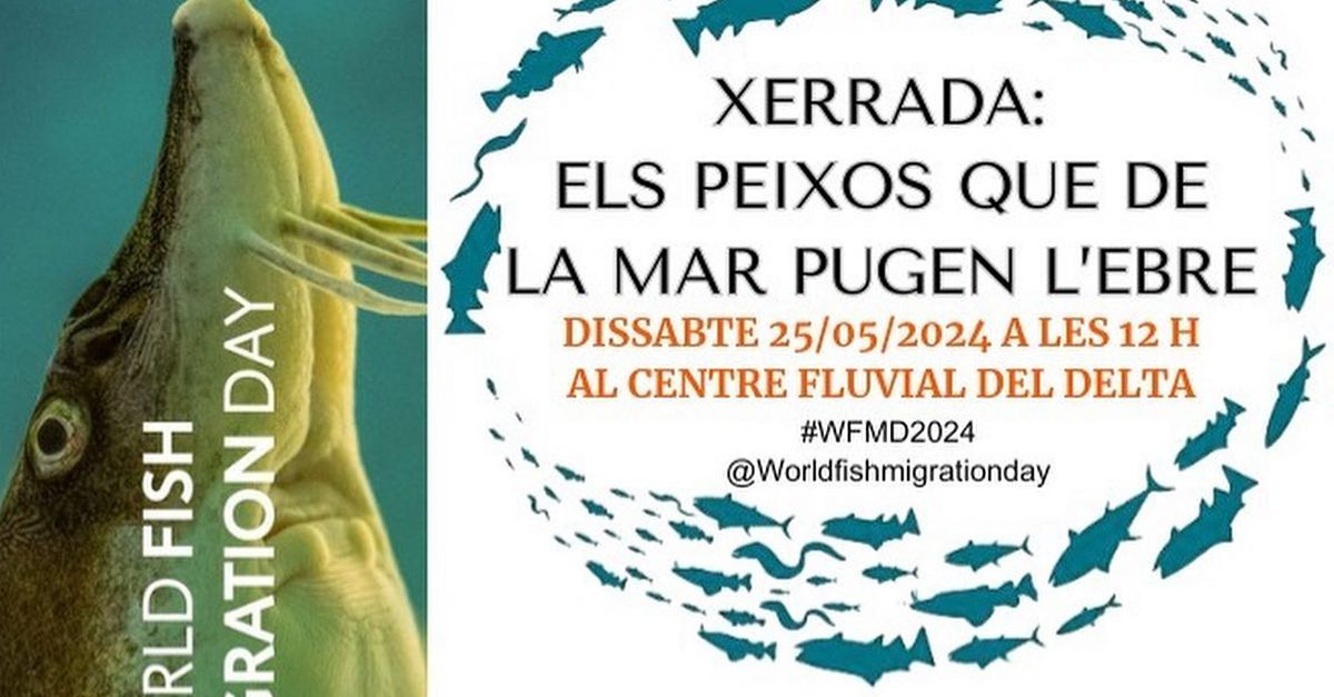 Charla �Els peixos que de la mar pugen l�Ebre�