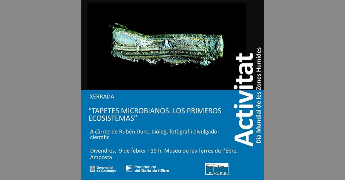 Xerrada �Tapetes microbianos. Los primeros ecosistemas�