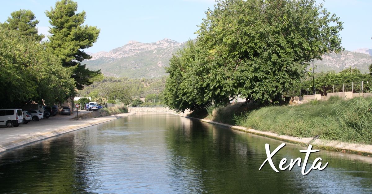 Xerta