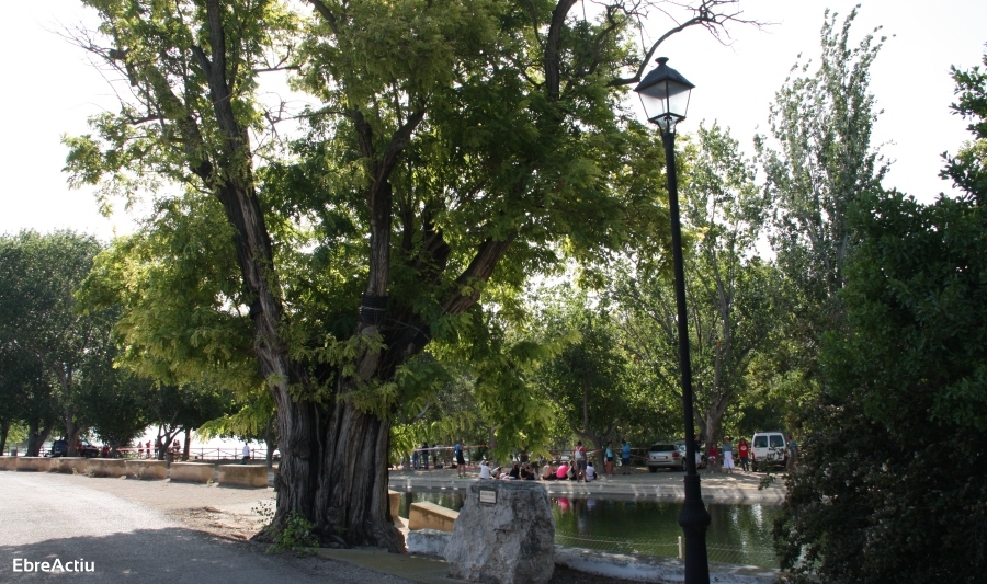 Xerta | EbreActiu.cat, revista digital d&rsquo;oci actiu | Terres de l&rsquo;Ebre ...