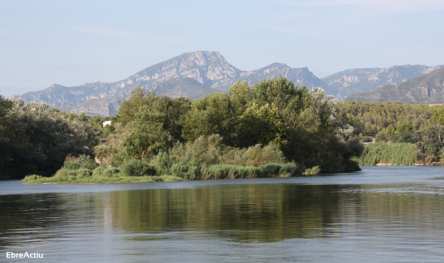 Xerta | EbreActiu.cat, revista digital de ocio activo | Terres de l’Ebre... Xerta | EbreActiu.cat, revista digital de ocio activo | Terres de l’Ebre...