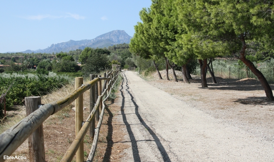 Xerta | EbreActiu.cat, revista digital de ocio activo | Terres de l’Ebre... Xerta | EbreActiu.cat, revista digital de ocio activo | Terres de l’Ebre...