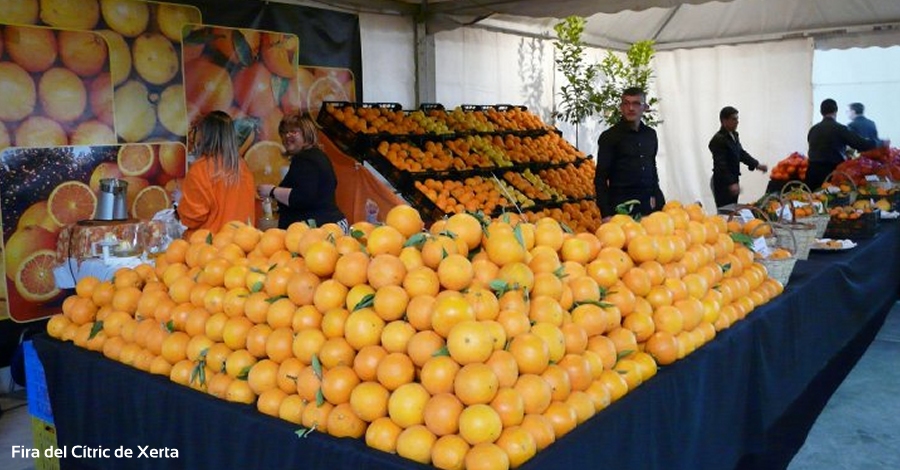 Xerta | EbreActiu.cat, revista digital d’oci actiu | Terres de l’Ebre ... Xerta | EbreActiu.cat, revista digital d’oci actiu | Terres de l’Ebre ...